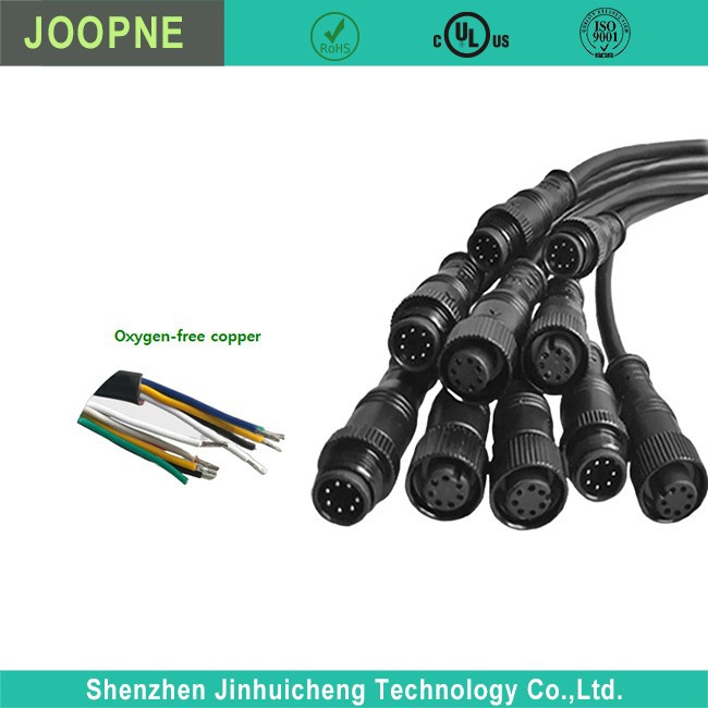 M12 Cable Assembly